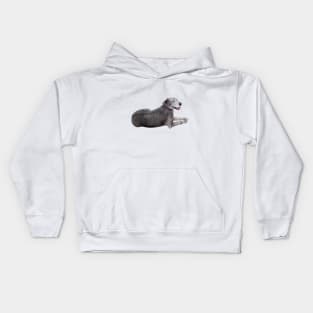 Great Dane Kids Hoodie